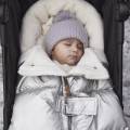pol_pl_Elodie-Details-spiworek-do-wozka-Silver-Sheen-34038_6.jpg