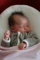 pol_pl_Red-Castle-Ergonomiczny-materac-dla-niemowlat-Cocoonababy-3287_3.jpg