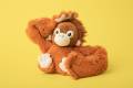 Main-Image-Ollie-The-Orangutan-Hi-Res-768x512.jpg