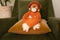 Orangutan-personality-solo-scaled.jpg