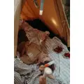 kidyflashlight-rozowa-latarka-3w1-dla-malych-odkrywcow (1).jpg