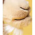 koziol-glenny-27-cm-maskotka-przytulanka-jellycat (3).webp