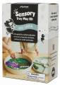 pol_pl_Jellystone-Zestaw-sensoryczny-Zaczarowany-Ogrod-wklad-do-tacki-sensorycznej-Play-Tray-381_1.jpg