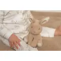 przytulanka-kroliczek-15-cm-baby-bunny-little-dutch (3).webp