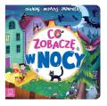 Co zobaczę w nocy 9788382134254 1.jpg