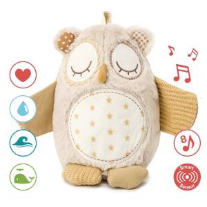  Cloud B Szumiąca sowa z czujnikiem dźwięku i pozytywką maskotka 0M+