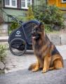 pol_pl_Hamax-Przyczepka-rowerowa-dla-psa-Pluto-L-do-45-kg-Blue-Black-35480_25.jpg