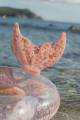 pol_pl_Little-Dutch-Kolo-do-plywania-Dreamy-Mermaid-91cm-5834_7.jpg