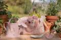 pol_pl_Little-Dutch-Zestaw-prezentowy-malego-ogrodnika-Fairy-Garden-5934_11.jpg