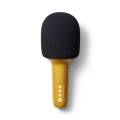pol_pl_Lalarma-Mikrofon-Karaoke-Glitter-Groove-Zloty-1714_8.jpg