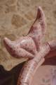 pol_pl_Little-Dutch-Basen-Dreamy-Mermaid-80cm-5980_5.jpg