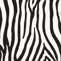 pol_pl_Kambukka-butelka-termiczna-Elton-Insulated-600-ml-Zebra-Jungle-720_2.webp