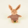 pol_pm_Przytulanka-Krolik-Lenny-mini-Egmont-Toys-R-6850_2 (1).jpg