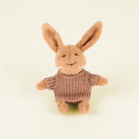 pol_pm_Przytulanka-Krolik-Lenny-mini-Egmont-Toys-R-6850_2 (1).jpg