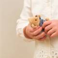 pol_pl_Przytulanka-Mis-Alexis-mini-Egmont-Toys-R-6855_6.jpg