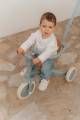 pol_pl_Little-Dutch-Rowerek-trojkolowy-4w1-z-raczka-Blue-6009_2.jpg