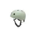 PAS-022-010_peq.webp