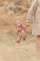 pol_pm_Little-Dutch-Przytulanka-Flaming-35cm-Safari-Friends-GRS-6038_8.jpg