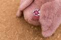 pol_pm_Little-Dutch-Przytulanka-Flaming-17cm-Safari-Friends-GRS-6037_6.jpg