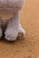 pol_pm_Little-Dutch-Przytulanka-Hipopotam-17cm-Safari-Friends-GRS-6030_15.jpg