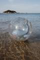 pol_pm_Little-Dutch-Pilka-plazowa-3D-Ocean-World-5957_2.jpg