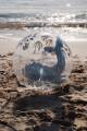 pol_pm_Little-Dutch-Pilka-plazowa-3D-Ocean-World-5957_7.jpg