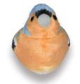Zięba maskotka ptaszek z dźwiękiem 13 cm RSPB Wild Republic 92389194845 (2).jpg