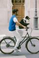 Koszyk rowerowy dla psa KVISP gray M 8720892184054 (14).jpg
