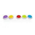 dumel-discovery-sensoryczna-rownowaga-sciezka-do-balansowania-8384632 (9).webp