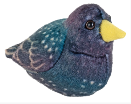 Ptak Szpak maskotka z dźwiękiem RSPB Wild Republic 092389222418 1.png