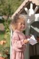 pol_pl_Little-Dutch-Drewniany-domek-ogrodowy-5935_18.jpg