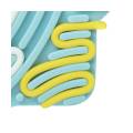 puzzle-sensoryczne-flexihetti-gwiazda-mind-move_29803_3.jpg