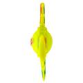 NERF DOG Zabawka dla psów z gumy TPR trójlotka z kolorowym uchwytem 20 cm 810162491529 (4).jpg