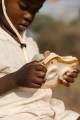 pol_pl_Little-Dutch-Projektor-Lew-Safari-Friends-FSC-6205_11.jpg
