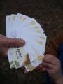 karty-w-trasie-nanuki-02-1.jpg