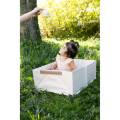 pol_pm_Beaba-Skladana-wanienka-Cameleo-Pop-Up-Bath-BigLove-14998_14.jpg