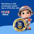 KUB Planet magnetyczne klocki konstrukcyjne 3D 100 el. 0850018291248 13.jpg