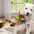 NERF DOG Zabawka dla psów miękka, piszcząca i szeleszcząca piłka w kształcie z uchwytami - 15 cm 810109522972 (4).jpg