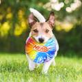 NERF DOG Zabawka dla psów TPR dysk z kolorowym uchwytem falisty wzór 24 cm 810162491475 (3).jpg
