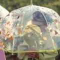 Parasol przeciwdeszczowy dinozaur SASSI 8050148762676 4.jpg