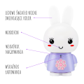 Z2 Alilo Honey Bunny G6 5904316556150 (5).png