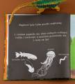 Dinozaury. Podświetl i Odkryj. api papi 9788396014924 (2).jpg