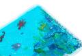 Mata sensoryczna z płynem Ocean Animals 31x22cm sense2play 5407010496369 (6).jpg