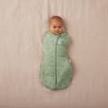 ergoPouch Otulacz Śpiworek 6-12M 2.5TOG Willow 9352240022610 (2).jpg