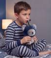 Butelka termiczna w pluszowym etui Fuzzies Asobu - Koala 842519060670 (2).jpg