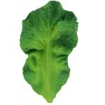 OLI & CAROL GRYZAK KAUCZUKOWY ZABAWKA JARMUŻ 0+