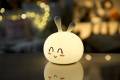 KROLIK-SLODZIAK-LAMPKA-SILIKONOWA-BIALA-RABBIT-FRIENDS-Kod-producenta-520058.jpg